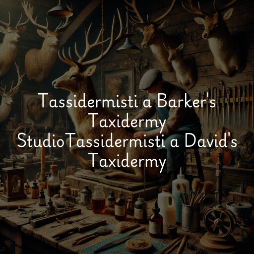 Tassidermisti a