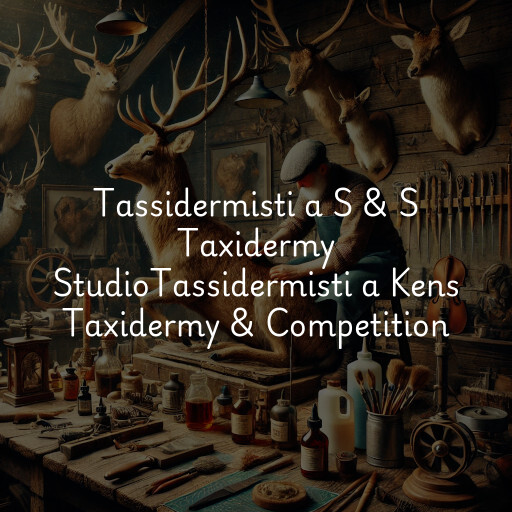 Tassidermisti a