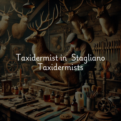 Taxidermist at  Stagliano Taxidermists