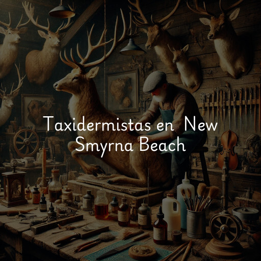 Taxidermistas en New Smyrna Beach
