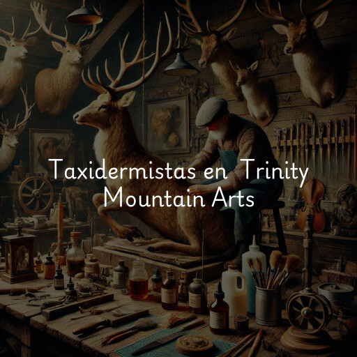 Taxidermistas en Trinity Mountain Arts