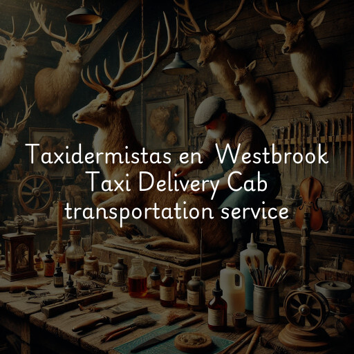Taxidermistas en Westbrook Taxi Delivery Cab  transportation service