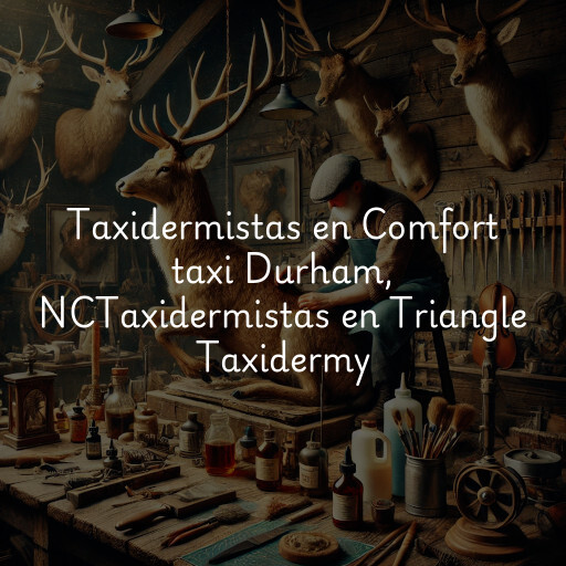 Taxidermistas en