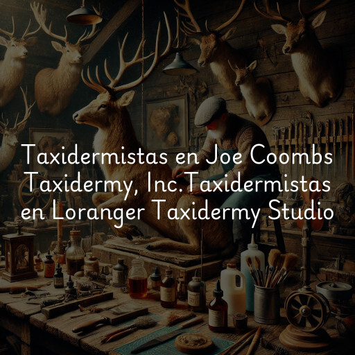 Taxidermistas en