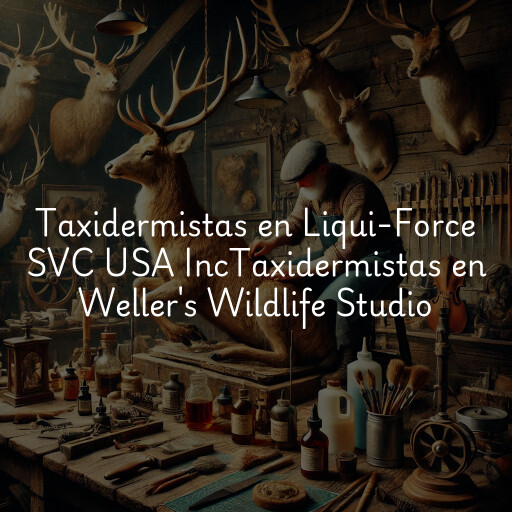 Taxidermistas en