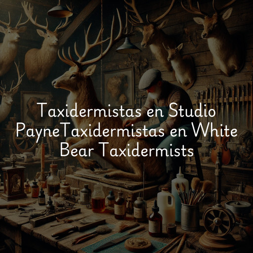 Taxidermistas en
