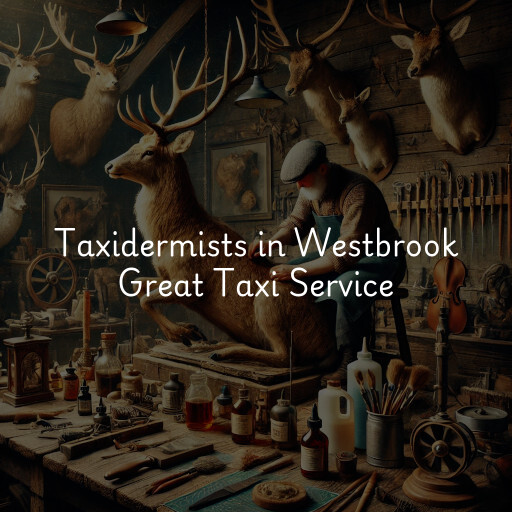 Taxidermists Westbrook Great Taxi Service